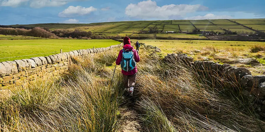 Master the Trails: 5 Reasons to Hike with Trekking Poles