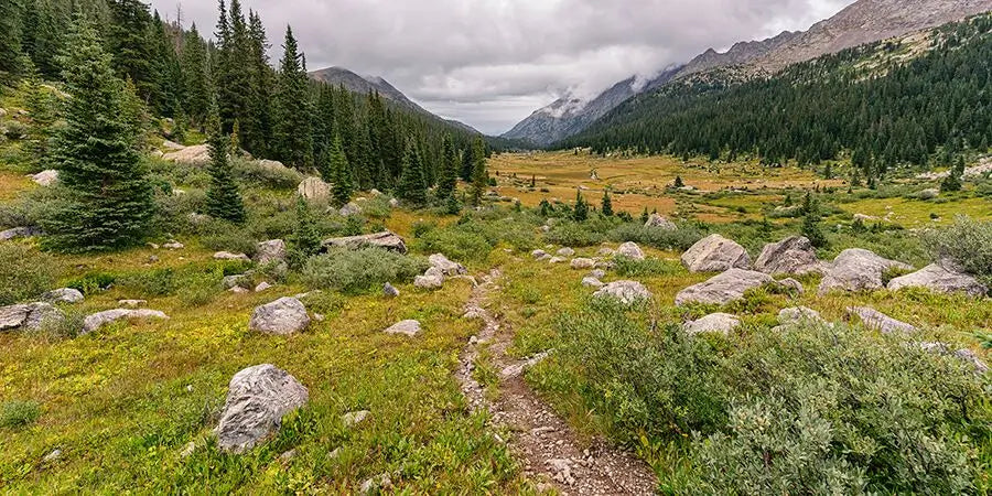 Responsible Leave-No-Trace Camping