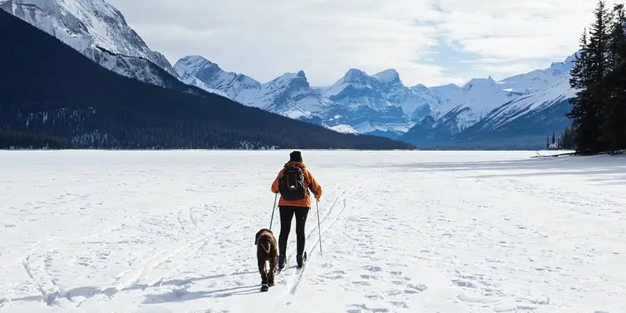 WINTER TRAIL REFERENCE