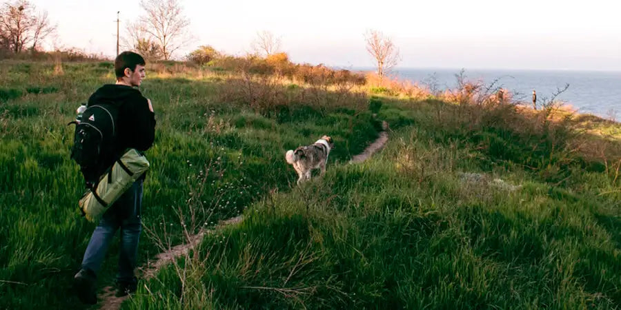 CAMPING WITH YOUR DOG: ESSENTIAL PREPARATION TIPS