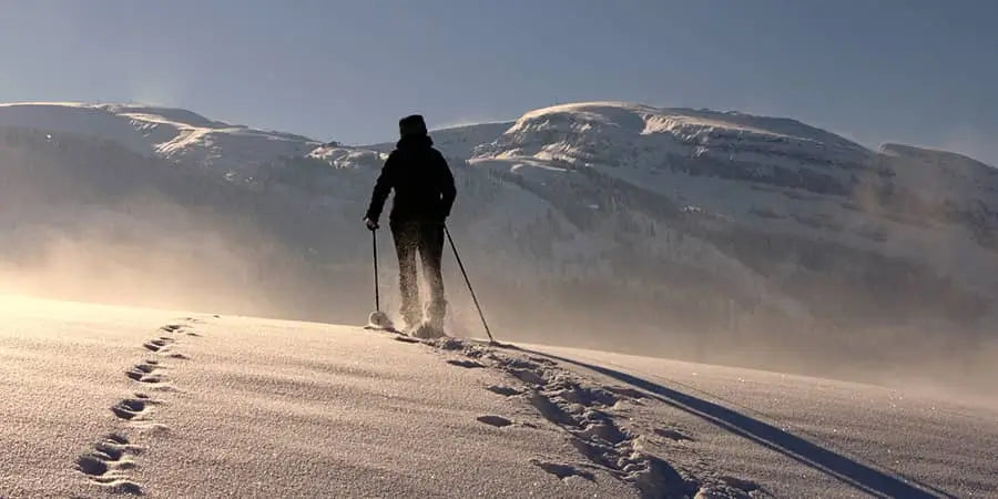 How to choose and use trekking poles