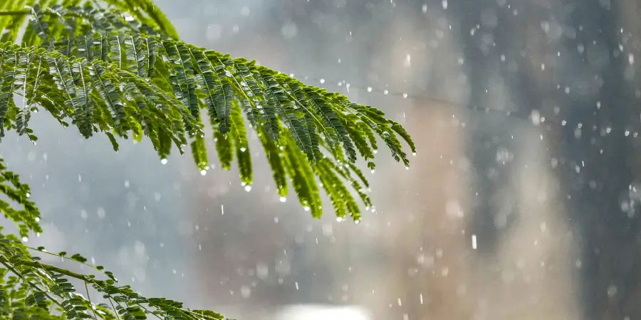 WHAT MAKES A TENT WATERPROOF?