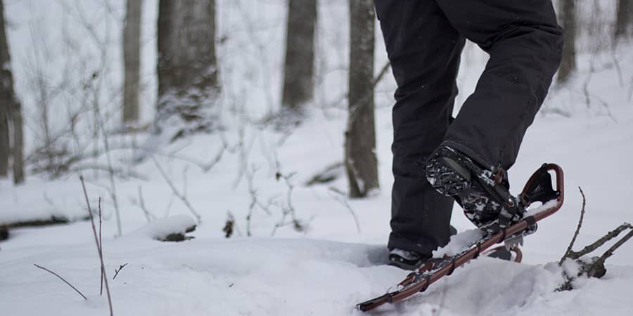 TOP 5 SAFETY TIPS FOR SNOWSHOEING