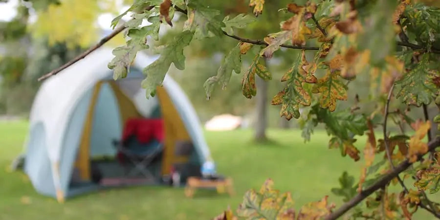 17 reason why you will fall in love with autumn camping